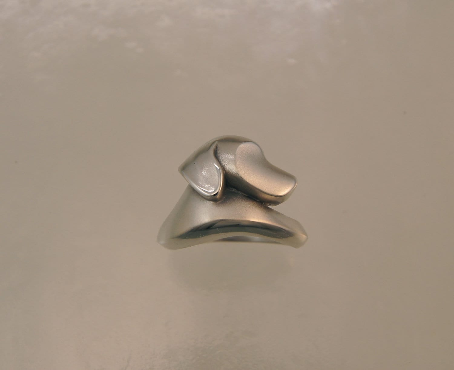 labrador  ring.  silver satin finish